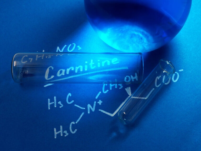 L-Carnitina: La Molécula de la Quema de Grasa