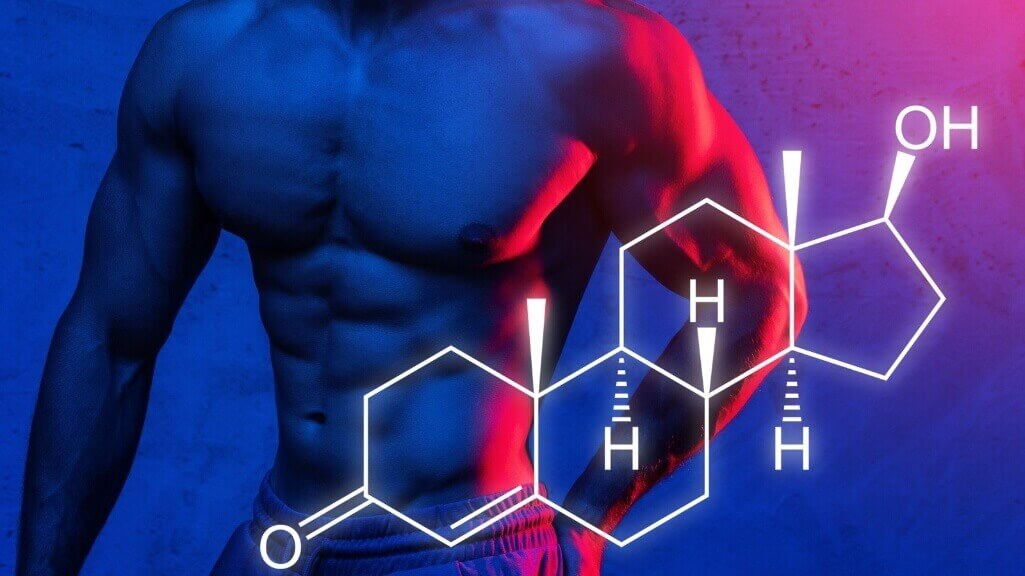 Molecula de precursores de tesrosterona